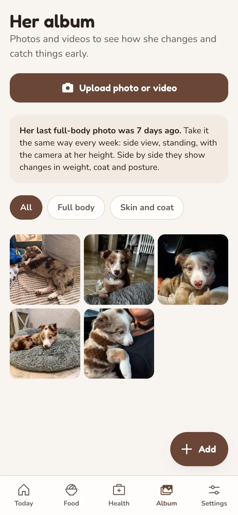Photo album